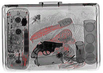 Smiths Heimann X-ray Inspection Systmes - Advanced Options - X-Plore Smiths Heimann X-ray Inspection Systmes - Advanced Options - X-Plore